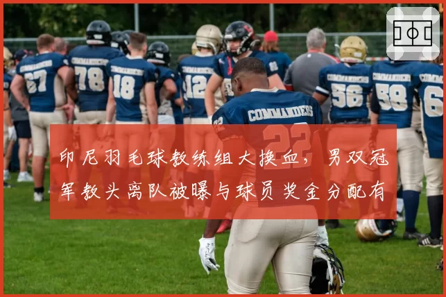 印尼羽毛球教练组大换血，男双冠军教头离队被曝与球员奖金分配有关