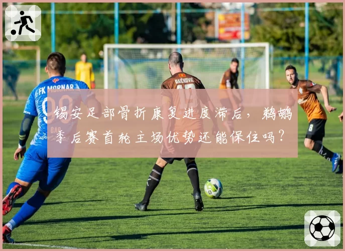 锡安足部骨折康复进度滞后，鹈鹕季后赛首轮主场优势还能保住吗？